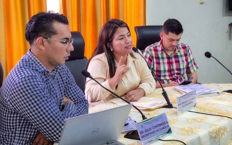 Sesión Extraordinaria del Concejo