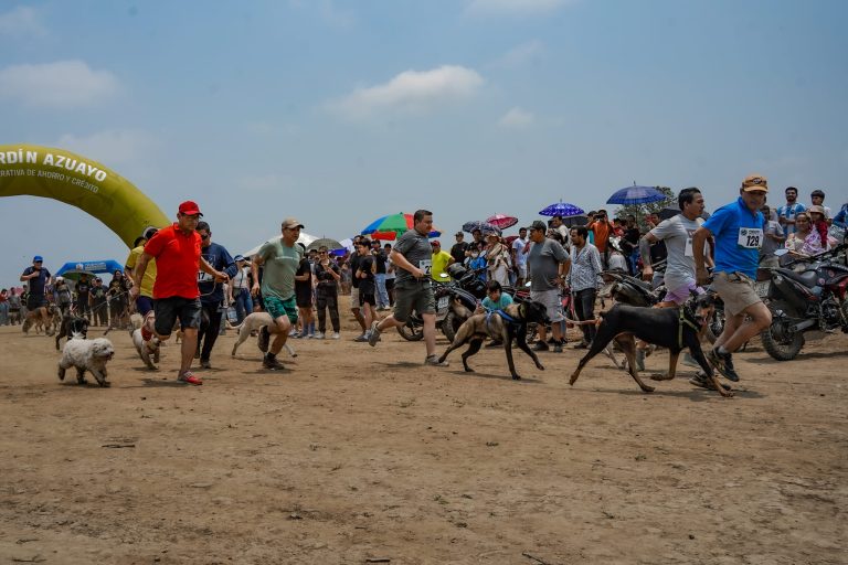 DOGMAN CROSS VI EDICIÓN