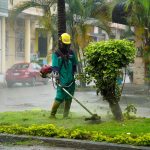 CUIDADO AL MEDIO AMBIENTE – MANTENIMIENTO DE AREAS VERDES