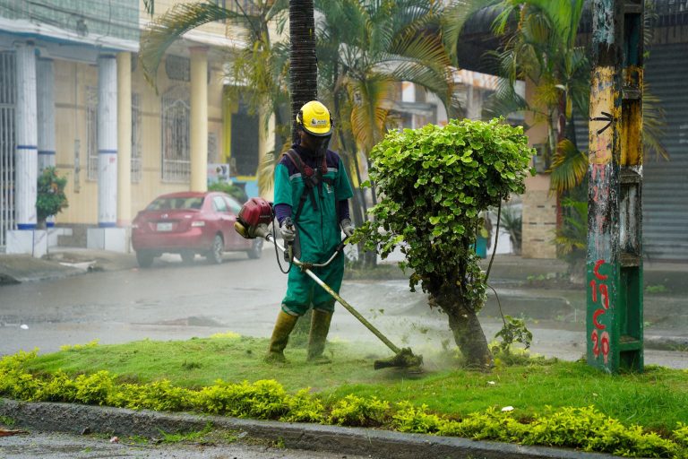 CUIDADO AL MEDIO AMBIENTE – MANTENIMIENTO DE AREAS VERDES