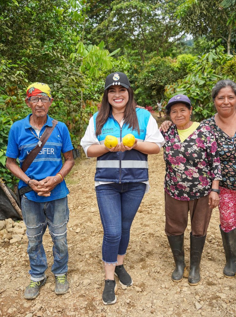 ALCALDÍA EN TERRITORIO – PLAN DE MANTENIMIENTO INTEGRAL