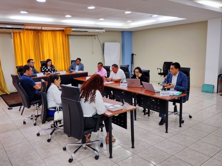 ALCALDÍA CIUDADANA – APOYO A GRUPOS PRIORITARIOS