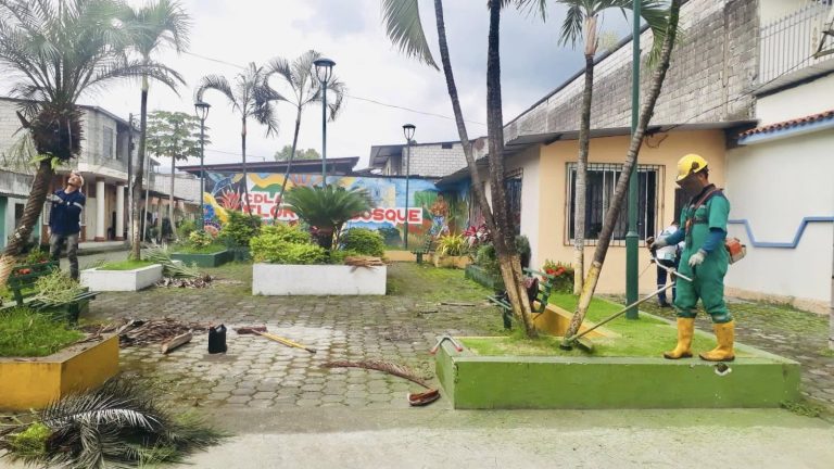 ALCALDÍA EN TERRITORIO – MANTENIMIENTO DE AREAS VERDES