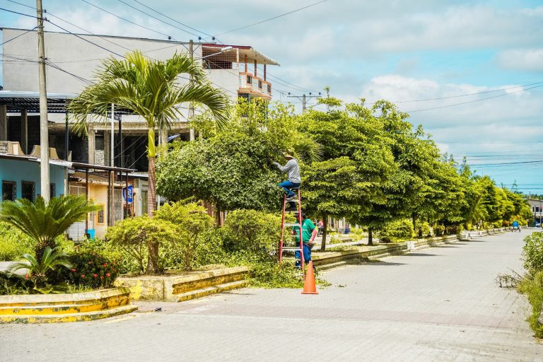 ALCALDÍA EN TERRITORIO – MANTENIMIENTO DE ÁREAS VERDES