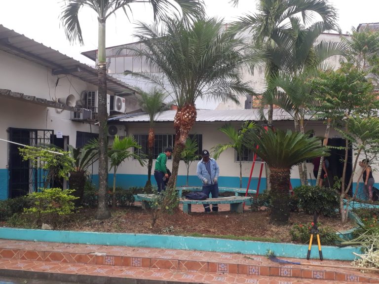 ALCALDÍA EN TERRITORIO – MANTENIMIENTO DE AREAS VERDES