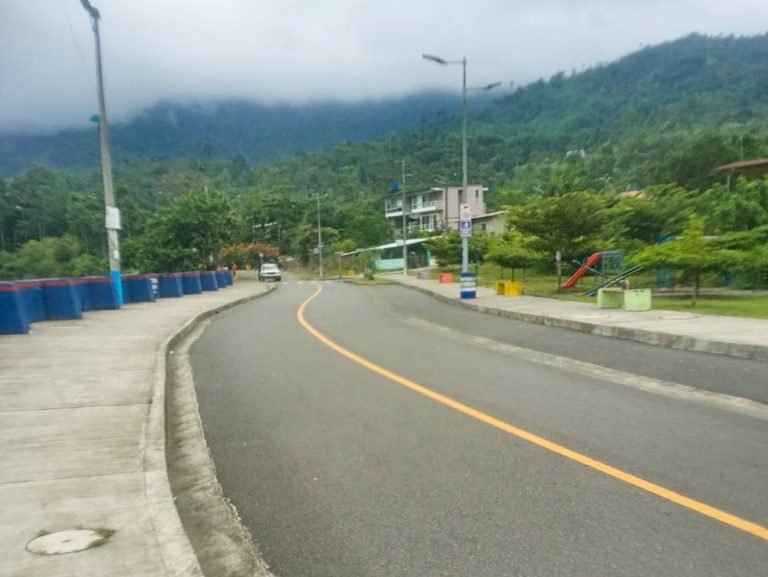 ALCALDÍA EN TERRITORIO – MANTENIMIENTO DE ESPACIOS VERDES