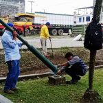 ALCALDÍA EN TERRITORIO – DEP. ELÉCTRICO