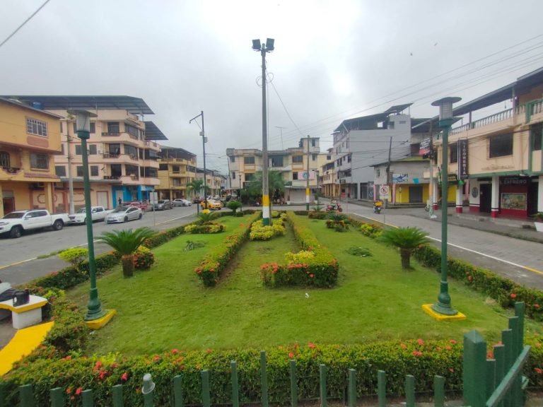 ALCALDÍA CIUDADANA – MANTENIMIENTO DE AREAS VERDES