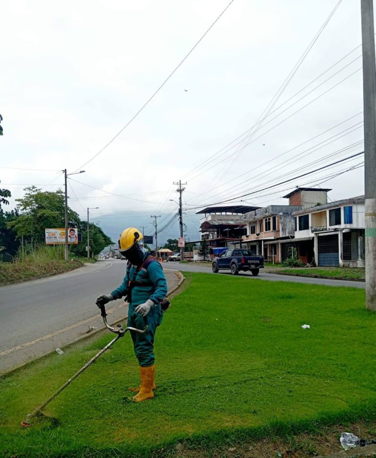 ALCALDÍA CIUDADANA – MANTENIMIENTO DE ÁREAS VERDES