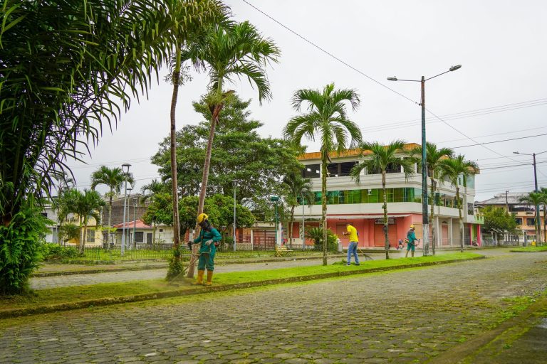ALCALDÍA EN TERRITORIO – MANTENIMIENTO DE AREAS VERDES