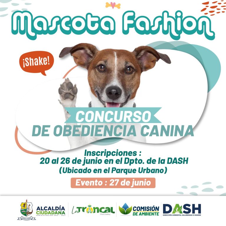 ALCALDÍA CIUDADANA – MASCOTA FASHION 2025