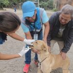 ALCALDÍA EN TERRITORIO – UNIDAD DE FAUNA URBANA