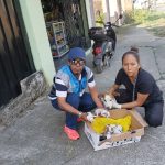 ALCALDÍA EN TERRITORIO – FAUNA URBANA