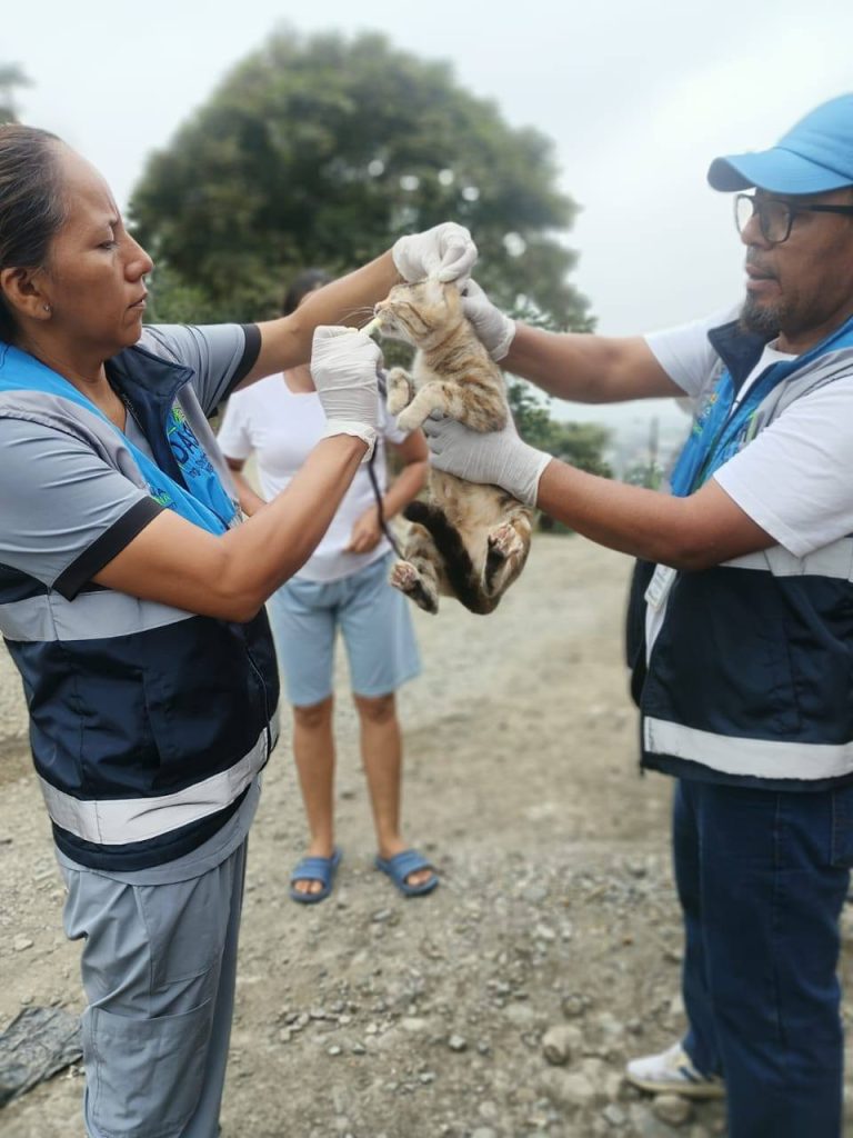 ALCALDÍA CIUDADANA – FAUNA URBANA