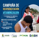 ALCALDÍA CIUDADANA – FAUNA URBANA