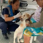 ALCALDÍA CIUDADANA – UNIDAD DE FAUNA URBANA
