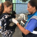 ALCALDÍA EN TERRITORIO – UNIDAD DE FAUNA URBANA