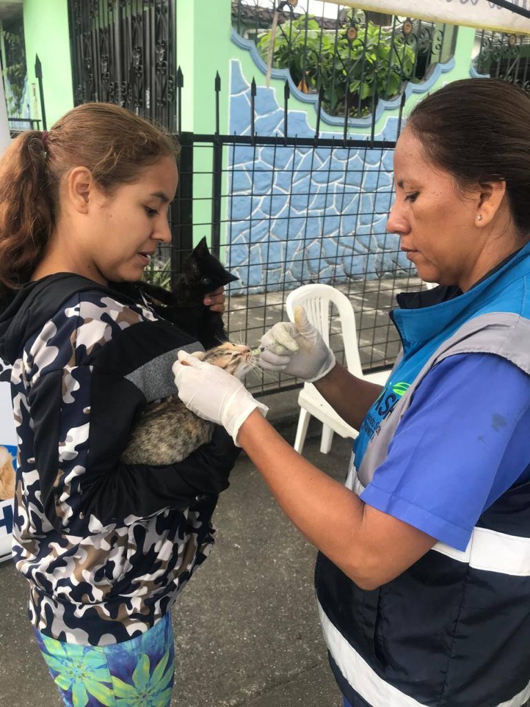 ALCALDÍA EN TERRITORIO – UNIDAD DE FAUNA URBANA