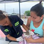 ALCALDÍA EN TERRITORIO – UNIDAD DE FAUNA URBANA