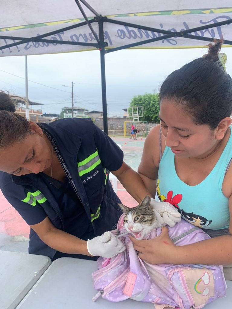 ALCALDÍA EN TERRITORIO – UNIDAD DE FAUNA URBANA
