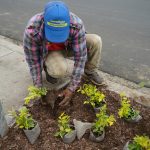 ALCALDÍA EN TERRITORIO – SIEMBRA DE PLANTAS