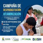 ALCALDÍA CIUDADANA – FAUNA URBANA