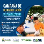 ALCALDÍA EN TERRITORIO – FAUNA URBANA