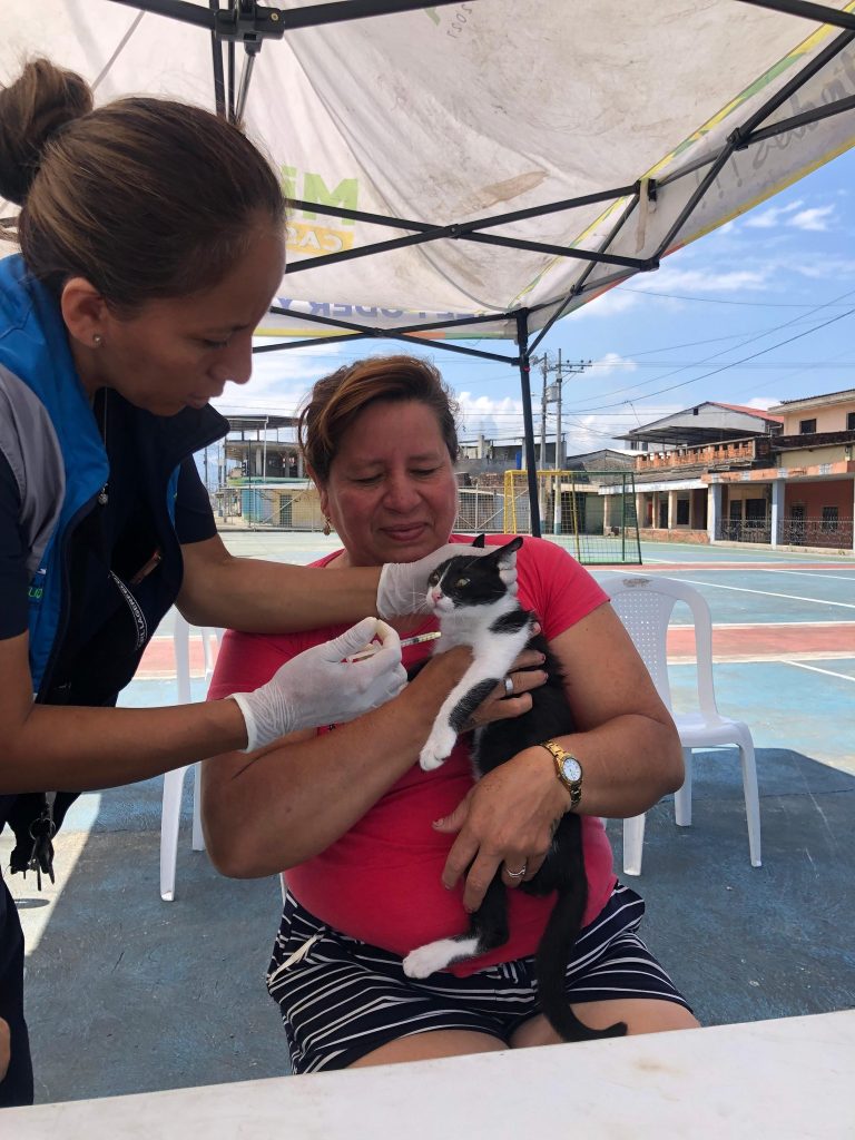 ALCALDÍA CIUDADANA – FAUNA URBANA