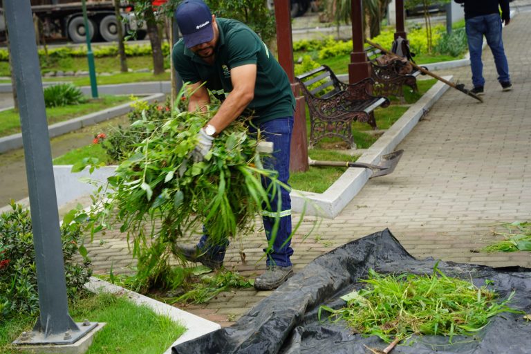 ALCALDÍA EN TERRITORIO – AREAS VERDES