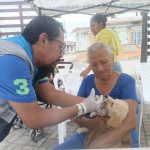 ALCALDÍA EN TERRITORIO – FAUNA URBANA