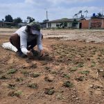 ALCALDÍA CIUDADANA – TALLERES OCUPACIONALES GRATUITOS