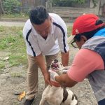 ALCALDÍA EN TERRITORIO – FAUNA URBANA