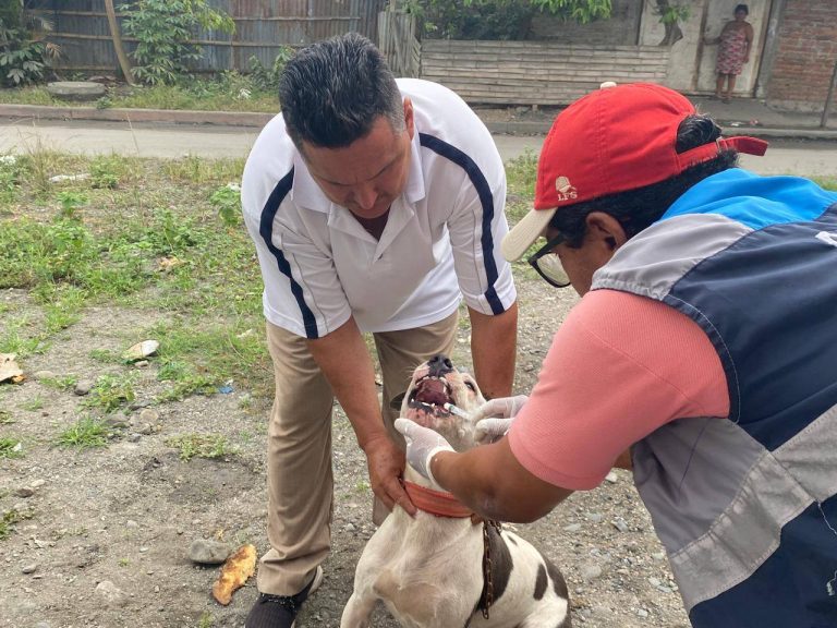 ALCALDÍA EN TERRITORIO – FAUNA URBANA