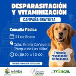 ALCALDÍA CIUDADANA – VACUNACIÓN Y VITAMINIZACIÓN