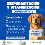 ALCALDÍA CIUDADANA – CAMPAÑA GRATUITA – FAUNA URBANA