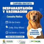 ALCALDÍA CIUDADANA – FAUNA URBANA