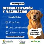ALCALDÍA CIUDADANA – CAMPAÑA GRATUITA – FAUNA URBANA