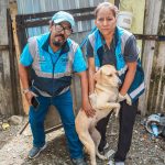 ALCALDÍA CIUDADANA – UNIDAD DE FAUNA URBANA