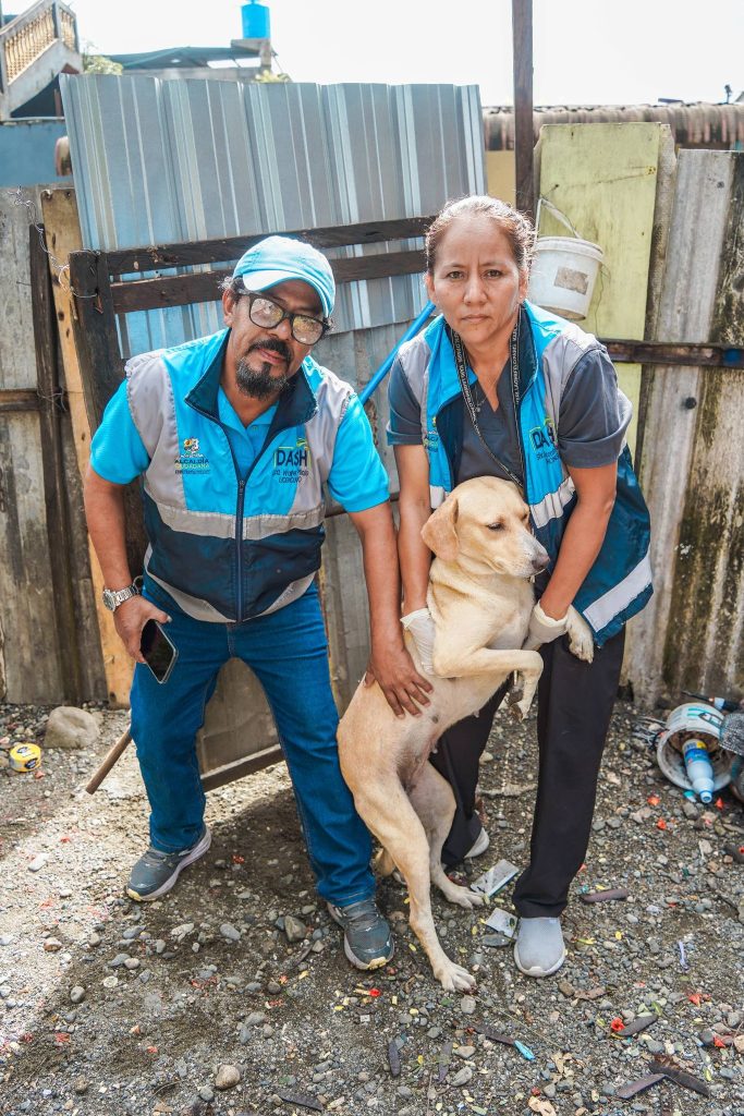 ALCALDÍA CIUDADANA - UNIDAD DE FAUNA URBANA