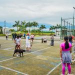 ALCALDÍA EN TERRITORIO – FAUNA URBANA – ADIESTRAMIENTO CANINO