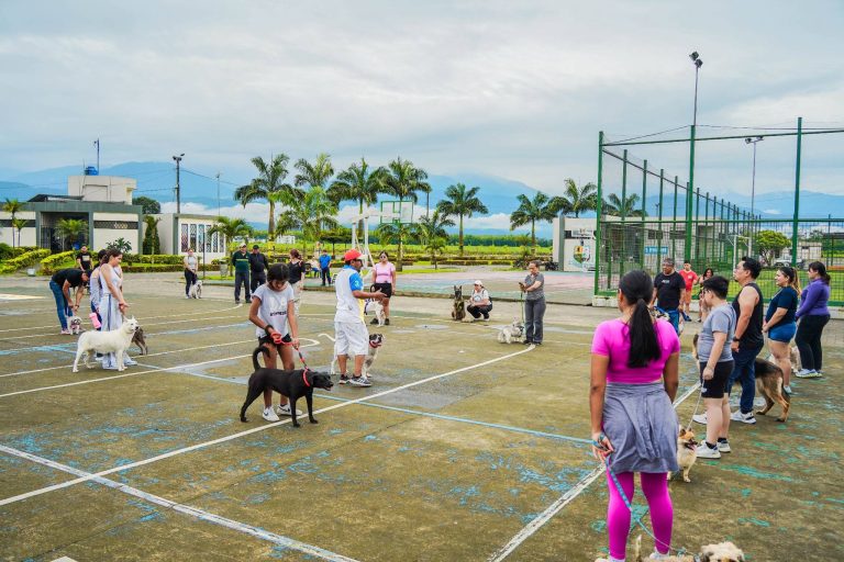 ALCALDÍA EN TERRITORIO – FAUNA URBANA – ADIESTRAMIENTO CANINO