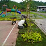 ALCALDÍA EN TERRITORIO – SIEMBRA DE PLANTAS