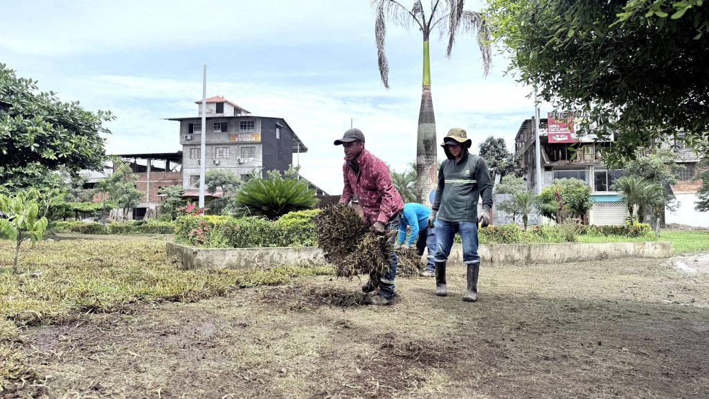 ALCALDÍA EN TERRITORIO - SIEMBRA DE PLANTAS