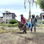 ALCALDÍA EN TERRITORIO – SIEMBRA DE PLANTAS