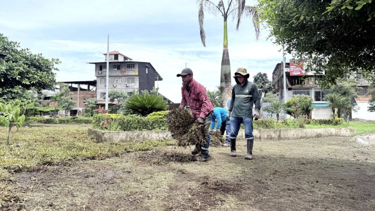 ALCALDÍA EN TERRITORIO – SIEMBRA DE PLANTAS