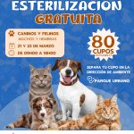 ALCALDÍA CIUDADANA – ESTERILIZACIÓN GRATUITA – CANINOS Y FELINOS