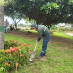 ALCALDÍA CIUDADANA – MANTENIMIENTO DEAREAS VERDES