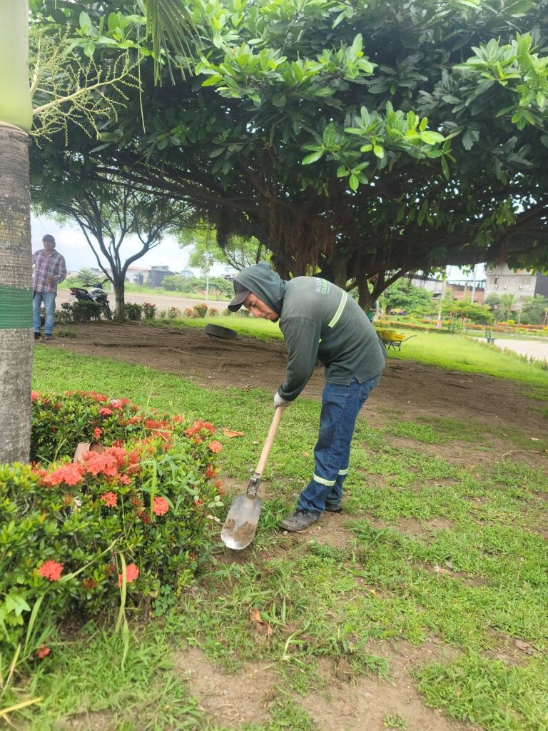 ALCALDÍA CIUDADANA - MANTENIMIENTO DEAREAS VERDES