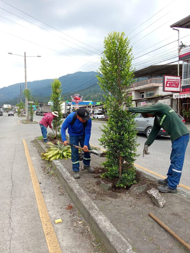 ALCALDÍA EN TERRITORIO – SIEMBRA DE PLANTAS
