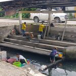 ALCALDÍA CIUDADANA – LAVANDERÍAS FLOR DEL BOSQUE